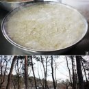 주식회사 솔숲 이미지