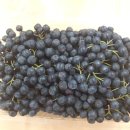 근우농장 이미지