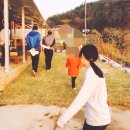 산천초목민박 이미지