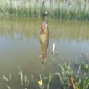 동주농장 이미지