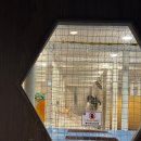 지봉빌딩1 | [부산/명지] 명지에서 오리고기 먹는다면 여기 -오리한상 커플세트 후기