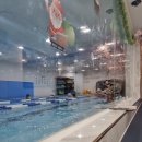 노블스위밍랩 장유율하점 | (율하) 노블 스위밍 랩 유아 수영장