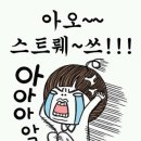 로드FC김태인짐