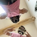 고양 만경사 석조여래좌상 | 경기도 고양시 흥국사 템플 스테이 체험형(개인실) 방문 후기 /예약 방법&amp;준비물