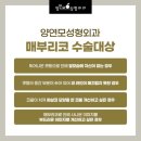 양연모성형외과의원 네이버블로그