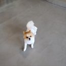 카페칸