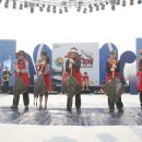 영산포홍어 이미지