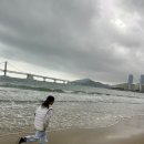 이지웰블루치과의원 | [부산 여행] 금수복국 솔직 후기 / 광안리 카페 / 치과 추천