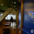 알펜시아 스포츠파크 크로스컨트리 경기장 이미지