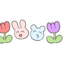 119마켓 네이버블로그