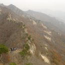 무궁화농장 이미지