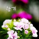 멋진하루 - 성동구 왕십리로33가길 10 | 멋진하루