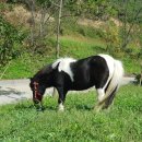 송산목장 이미지