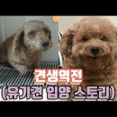 포인핸드 이미지