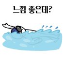돌핀투원 이미지
