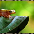 초록디딤돌 이미지