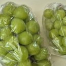 복주농장 이미지