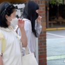 대조초등 이미지