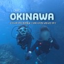늘푸른카모터스 | 오키나와 푸른 동굴 스노클링 vs 다이빙 비교 코스 저렴하게 예약한 법, 내돈내산 후기