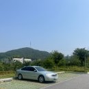 양지근린공원 테니스장 네이버블로그