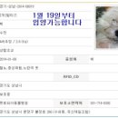 펫토피아 동물병원 이미지