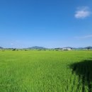 강화길공인중개사사무소 이미지