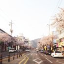 숲뫼탕 이미지