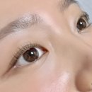 드레쉬펌