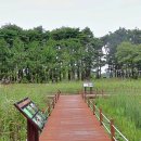 순포습지 이미지