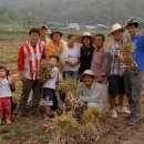 태송농장 이미지