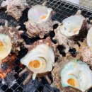 물소낭밧작은집 이미지