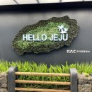 보궁흑염소 | [제주] 제주도서쪽여행 2박3일 ✈️