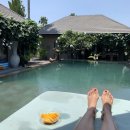 장풍쏘는 돼지 | BALI DAY #12