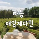 차꽃오미 이미지
