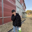 오로라승마장