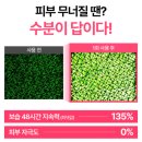 크림하나