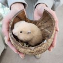 펫마트김해율하