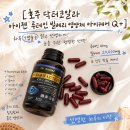 아이젠 | 호주영양제 루테인 추천 닥터코알라 아이젠 빌베리 지아잔틴 후기