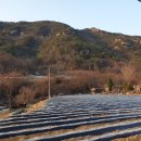 4억1,000만원..제천부동산,제천시 청풍면의 펜션 및 가든부지입니다. 이미지