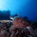 설립누리 행정사사무소 이미지