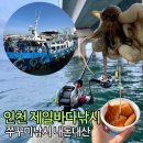 쭈꾸미아줌마 | 인천 제일바다낚시 내돈내산 쭈꾸미낚시 예약 가격 주차장 준비물 채비 3마리 잡은 후기 조황