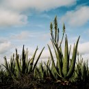 유니베라부천 이미지