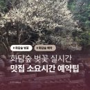 좌구산 단풍나무길 야외화장실 | 화담숲 4월 벚꽃 실시간 개화 현황과 예약팁