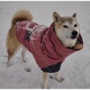 굿데이호텔 이미지