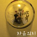 서울의지 | [서울혼술] 홍대혼술바 자유의지5호점