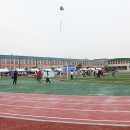 삽교초등학교 이미지