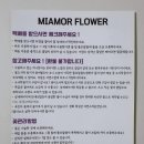 미아모르 | 미아모르플라워 꽃케이크 후기 특별한 기념일 생화케이크 선물🌸