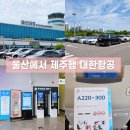 세븐일레븐 울산언양태양점 | 울산공항 주차장 요금 제주행 대한항공 A220-300 기종 후기