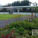 둘리라창의어린이집 이미지