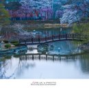 영산 연지못 이미지